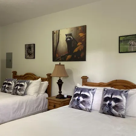 Wasser Lodge #204 - Raccon Room